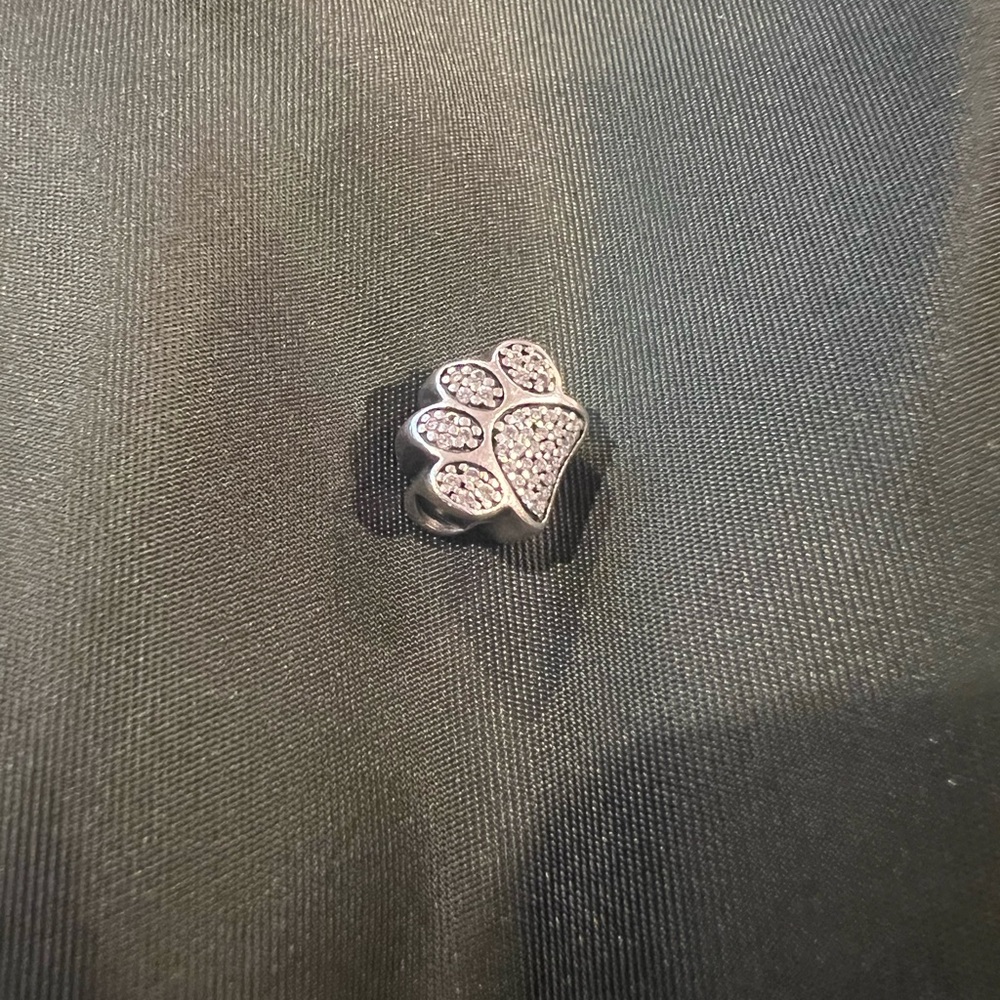 Pandora dog charm
